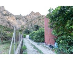 FINCA DE AGUACATES EN VELEZ DE BENAUDALLA