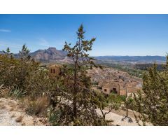 Chalet rural con casi 5000 metros de parcela
