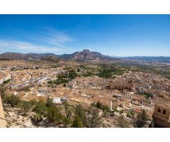 Chalet rural con casi 5000 metros de parcela