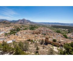 Chalet rural con casi 5000 metros de parcela