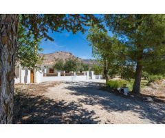 Chalet rural con casi 5000 metros de parcela
