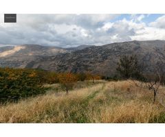OPORTUNIDAD UNICA EN GUEJAR SIERRA!!!!