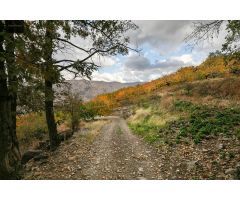 OPORTUNIDAD UNICA EN GUEJAR SIERRA!!!!