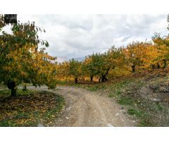 OPORTUNIDAD UNICA EN GUEJAR SIERRA!!!!