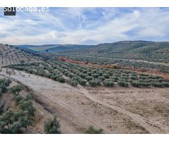 FINCA DE OLIVOS  Y ALMENDROS EN VEGAS DEL GENIL