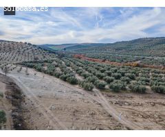 FINCA DE OLIVOS  Y ALMENDROS EN VEGAS DEL GENIL