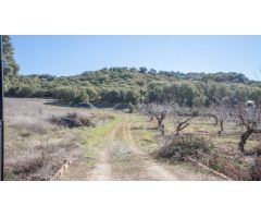 Cortijo con finca rustica en Iznalloz