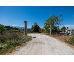 Estupendo terreno rustico con olivos en Viznar