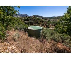 Estupendo terreno rustico con olivos en Viznar