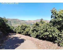 Finca rustica en Almuñecar