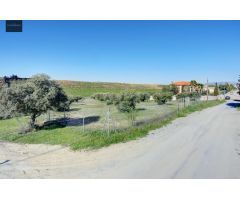 Terreno Las gabias de Secano 5.000 m2 con 50 olivos