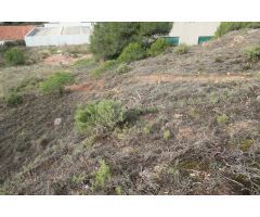 TERRENO URBANIZABLE DE 432m2.
