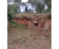 TERRENY URBÀ ENVOLTAT DE NATURALESA