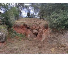 TERRENY URBÀ ENVOLTAT DE NATURALESA