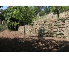 FINCA CON TERRENO CASA Y PISCINA