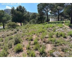 TERRENY PRIVILEGIAT DE 1139M2 A SANT LLORENÇ SAVALL