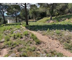 TERRENY PRIVILEGIAT DE 1139M2 A SANT LLORENÇ SAVALL