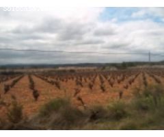 Parcela de terreno rústico de 22.890 m2.