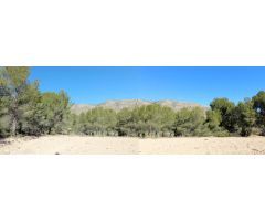 PARCELA URBANIZABLE EN HONDON DE LAS NIEVES