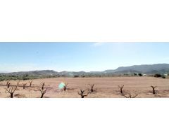 PARCELA A LA VENTA EN HONDON DE LAS NIEVES