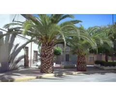 PARCELA A LA VENTA EN HONDON DE LAS NIEVES
