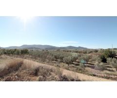 PARCELA A LA VENTA EN HONDON DE LAS NIEVES