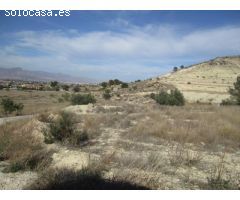 SE VENDE FINCA RUSTICA EN ASPE