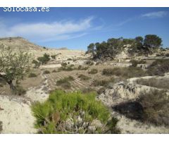 SE VENDE FINCA RUSTICA EN ASPE