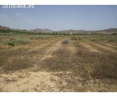 SE VENDE TERRENO EN ASPE