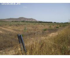 SE VENDE TERRENO EN ASPE