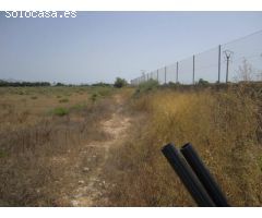 SE VENDE TERRENO EN ASPE