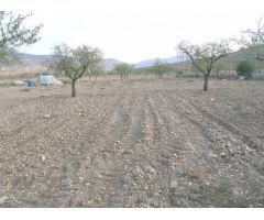 Terreno en zona Rebalso (Hondón de las Nieves)
