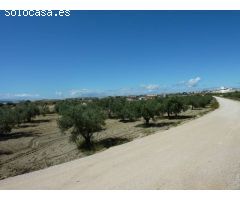 SE VENDE TERRENO CON ALBERGUE EN FORTUNA