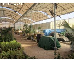 SE VENDE PARCELA CON VIVERO EN HONDON DE LOS FRAILES