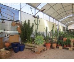 SE VENDE PARCELA CON VIVERO EN HONDON DE LOS FRAILES