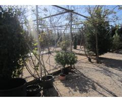 SE VENDE PARCELA CON VIVERO EN HONDON DE LOS FRAILES