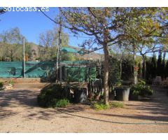 SE VENDE PARCELA CON VIVERO EN HONDON DE LOS FRAILES