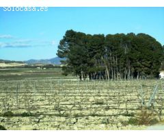 SE VENDE TERRENO EN SALINAS