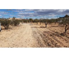 ALBERGUE CON TERRENO EN HONDON DE LAS NIEVES