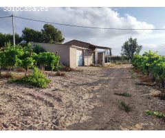 Parcela en Novelda con Casa de Aperos y Viñedo