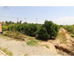 Chalet en Venta en Elche pedanias, Alicante