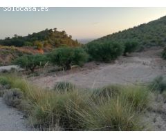 Finca rustica en Macisvenda