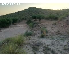 Finca rustica en Macisvenda