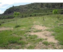 Terreno rural en Venta en Aspe pedanias, Alicante