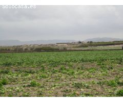Terreno rural en Venta en Novelda, Alicante