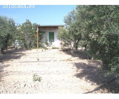 Albergue en Venta en Aspe pedanias, Alicante