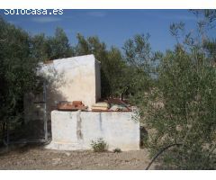 Albergue en Venta en Aspe pedanias, Alicante