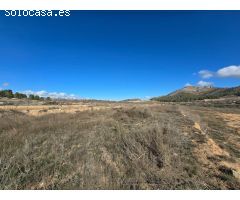 PARCELA EN VENTA EN LA ROMANETA (MONÓVAR)