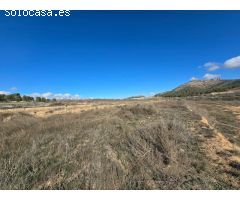 PARCELA EN VENTA EN LA ROMANETA (MONÓVAR)