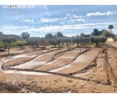 SE VENDE PARCELA EN ASPE